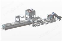 機(jī)器人自動投料系統(tǒng)-單線