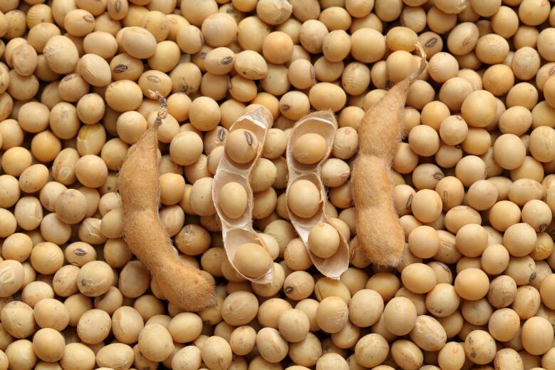 政策解读│贵州省惠农支农资金政策明白纸之粮油生产保障