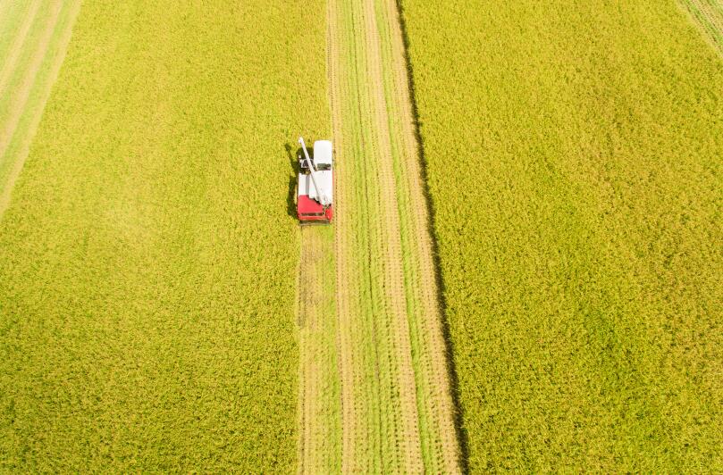 海南省2025年第四批农机购置补贴投档bob体b体育软件形式审核情况公示