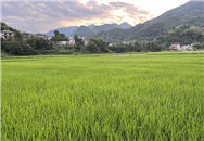 每畝補(bǔ)貼34/75/150元！寧夏2025年強(qiáng)農(nóng)惠農(nóng)政策明白本之耕地建設(shè)與利用