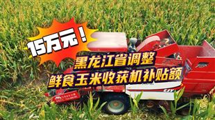 15万元！黑龙江省调整鲜食玉米收获机补贴额